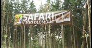 Nové safari v olomoucké ZOO