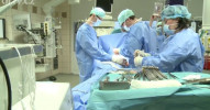 1000 operací s robotem na urologii v Olomouci