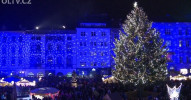 Vyberte jméno pro vánoční strom na náměstí
