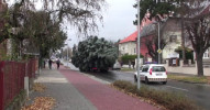 Cesta vánočního stromu na náměstí