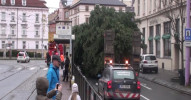 Vánoční strom dorazil na Horní náměstí