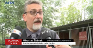 Zpravodajský mix televize ZZIP ze dne 14.5.2019