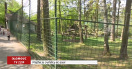 Olomoucká zoo je opět otevřená